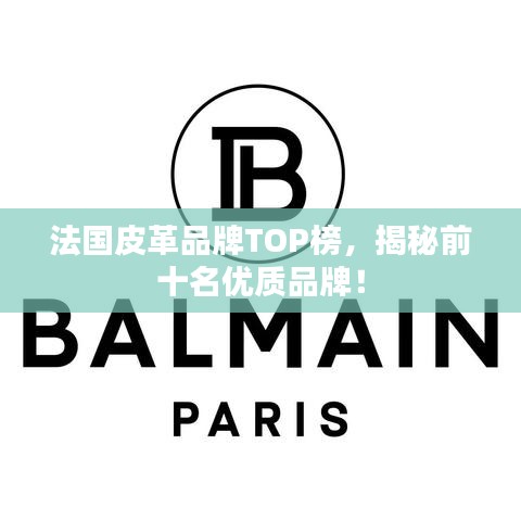 法国皮革品牌TOP榜,揭秘前十名优质品牌!