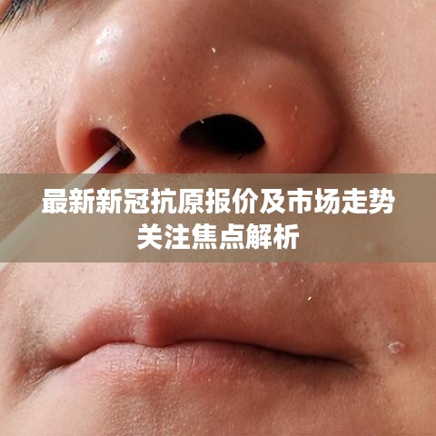 最新新冠抗原报价及市场走势关注焦点解析
