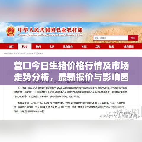 营口今日生猪价格行情及市场走势分析,最新报价与影响因素全解析