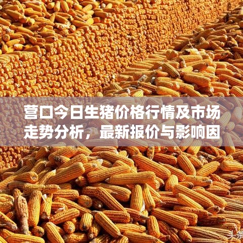 营口今日生猪价格行情及市场走势分析,最新报价与影响因素全解析