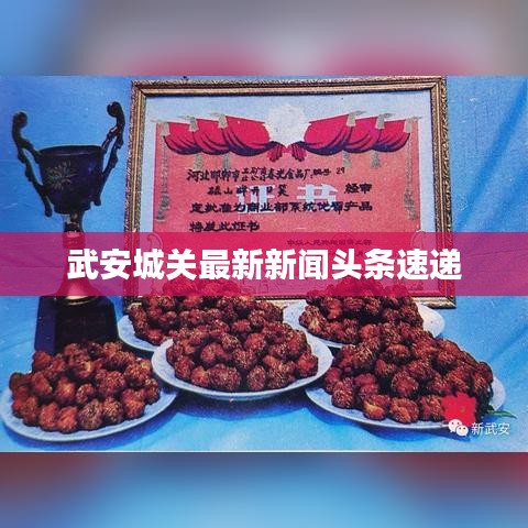 武安城关最新新闻头条速递