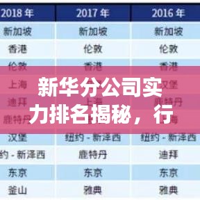 新华分公司实力排名揭秘,行业地位与发展趋势探究