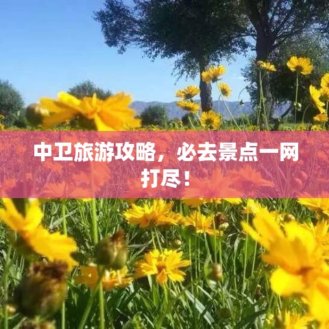中卫旅游攻略,必去景点一网打尽!