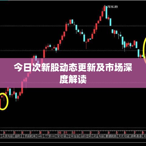 今日次新股动态更新及市场深度解读
