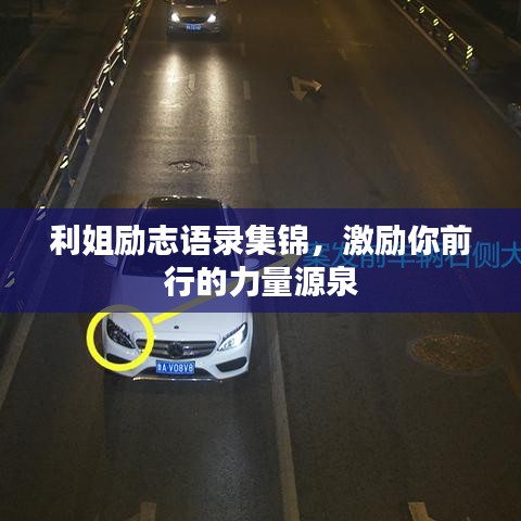 凤凰于飞 第4页