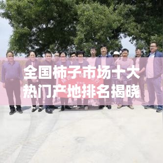 全国柿子市场十大热门产地排名揭晓!