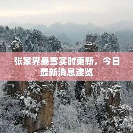 张家界暴雪实时更新,今日最新消息速览