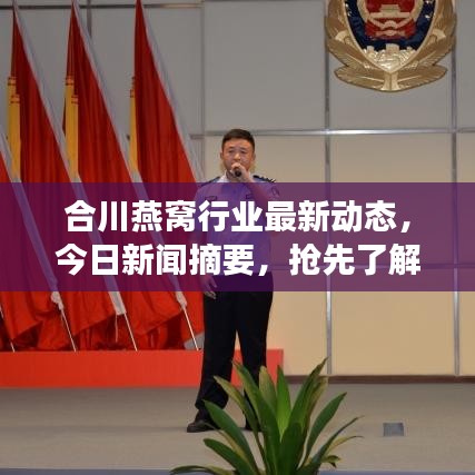 合川燕窝行业最新动态,今日新闻摘要,抢先了解市场趋势