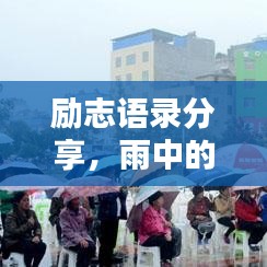 励志语录分享,雨中的坚持与希望,鼓舞人心瞬间