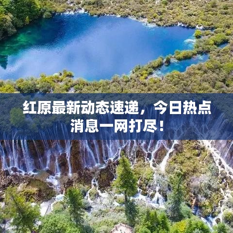 就棍打腿 第6页