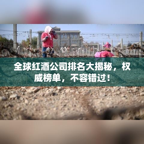 全球红酒公司排名大揭秘,权威榜单,不容错过!