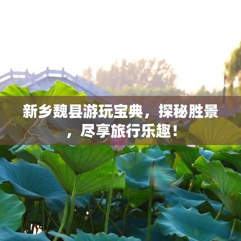 新乡魏县游玩宝典，探秘胜景，尽享旅行乐趣！