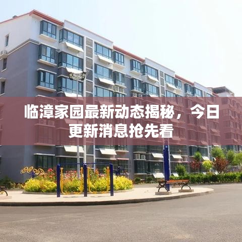 临漳家园最新动态揭秘,今日更新消息抢先看