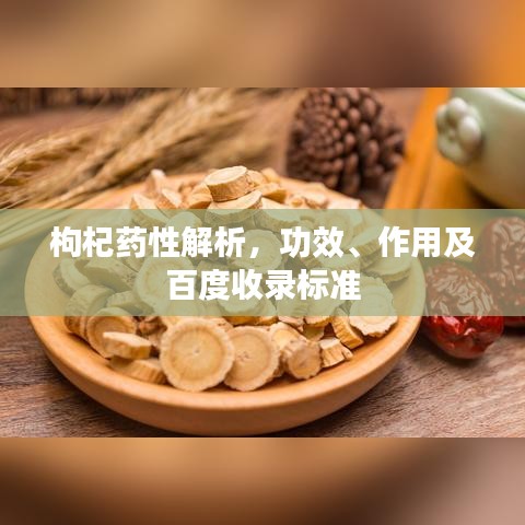 枸杞药性解析,功效、作用及百度收录标准