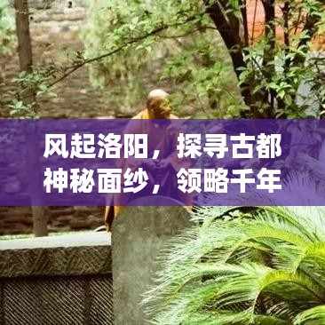 风起洛阳,探寻古都神秘面纱,领略千年风华之美,百度带你游古都