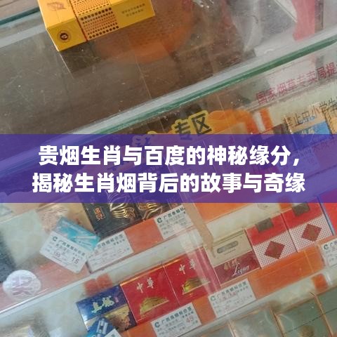 贵烟生肖与百度的神秘缘分,揭秘生肖烟背后的故事与奇缘!