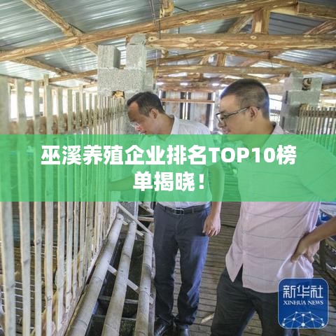 巫溪养殖企业排名TOP10榜单揭晓!