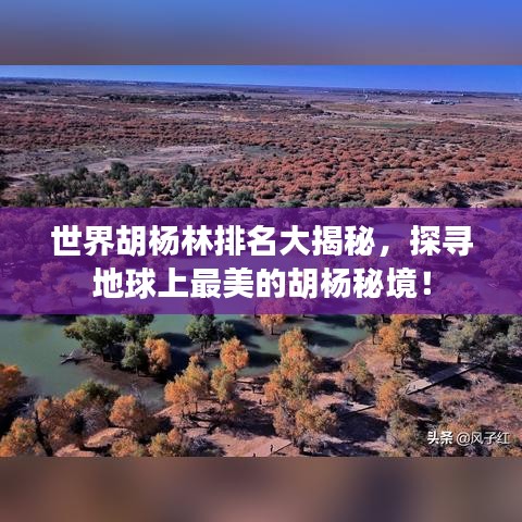 世界胡杨林排名大揭秘,探寻地球上最美的胡杨秘境!