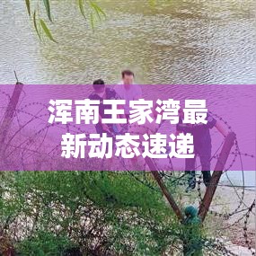 浑南王家湾最新动态速递