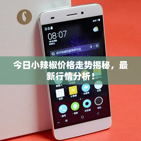 今日小辣椒价格走势揭秘，最新行情分析！