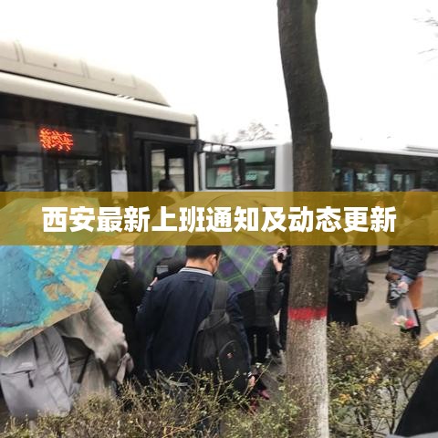 西安最新上班通知及动态更新