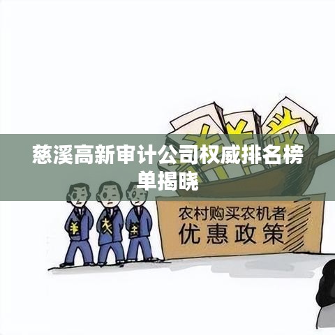慈溪高新审计公司权威排名榜单揭晓