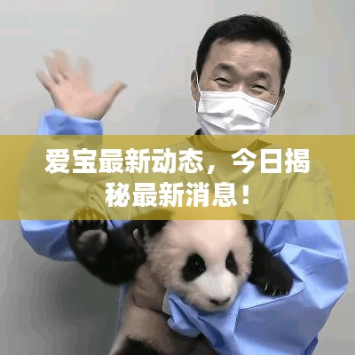 爱宝最新动态,今日揭秘最新消息!
