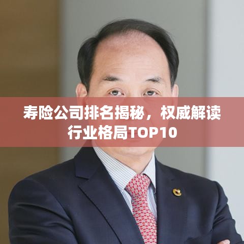寿险公司排名揭秘,权威解读行业格局TOP10