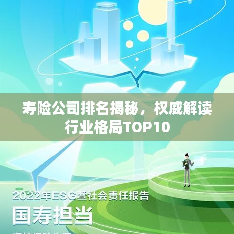 寿险公司排名揭秘,权威解读行业格局TOP10