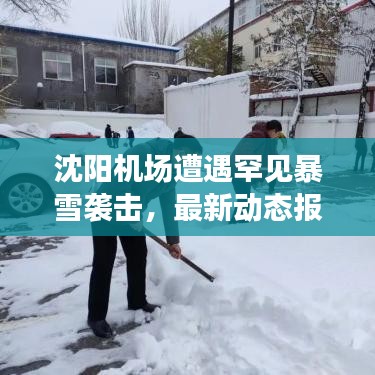 沈阳机场遭遇罕见暴雪袭击,最新动态报道