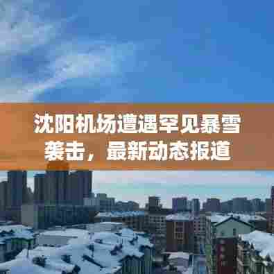沈阳机场遭遇罕见暴雪袭击,最新动态报道