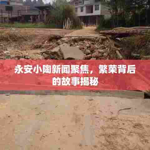 永安小陶新闻聚焦,繁荣背后的故事揭秘