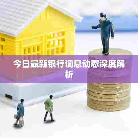 今日最新银行调息动态深度解析