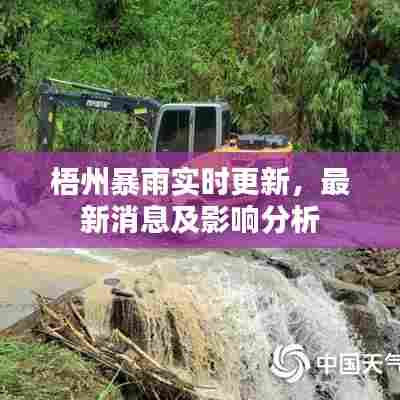 梧州暴雨实时更新,最新消息及影响分析