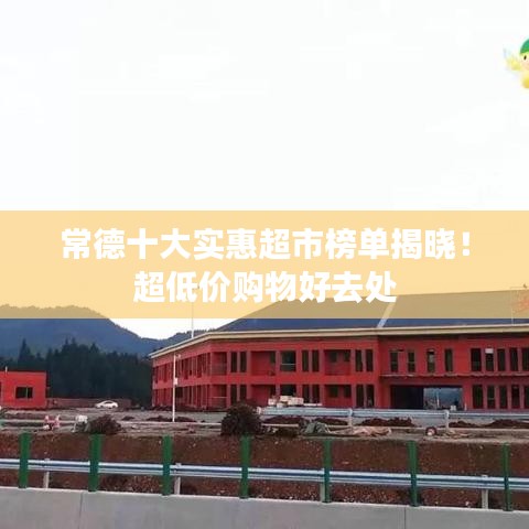 虚张声势 第4页