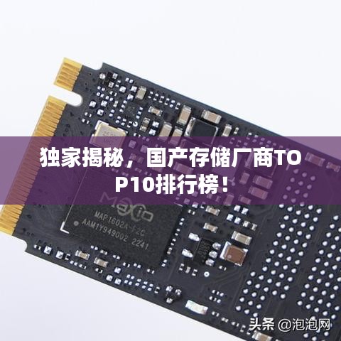 独家揭秘,国产存储厂商TOP10排行榜!