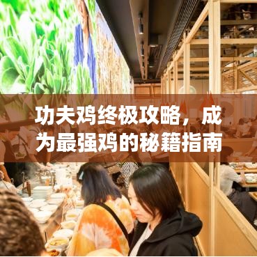 功夫鸡终极攻略,成为最强鸡的秘籍指南