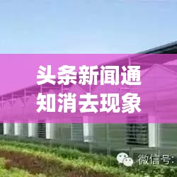 头条新闻通知消去现象深度探讨