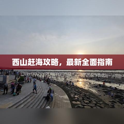 西山赶海攻略,最新全面指南