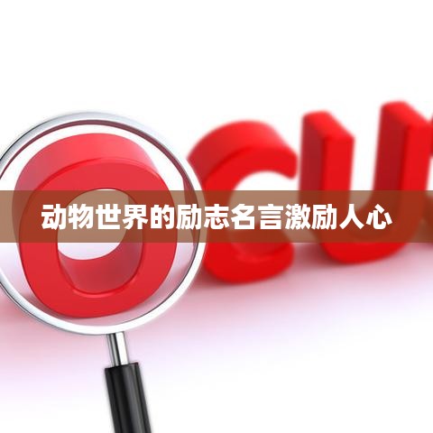 动物世界的励志名言激励人心