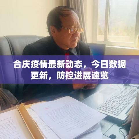合庆疫情最新动态,今日数据更新,防控进展速览