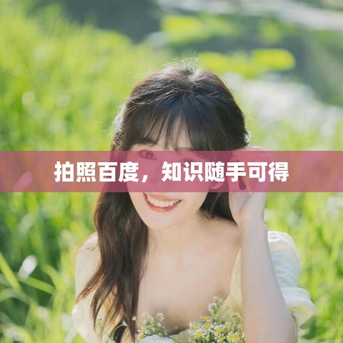 拍照百度,知识随手可得