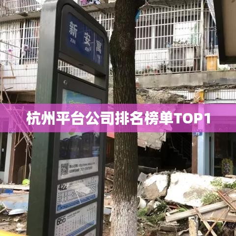 杭州平台公司排名榜单TOP10