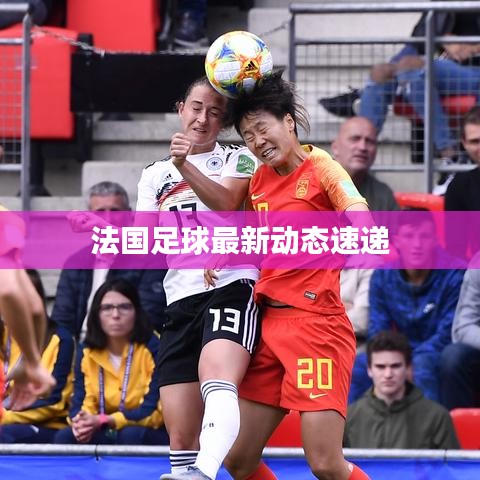 法国足球最新动态速递