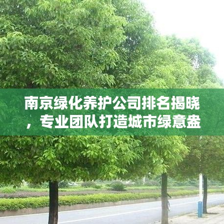 南京绿化养护公司排名揭晓，专业团队打造城市绿意盎然！