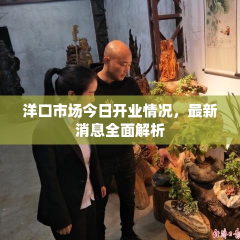 洋口市场今日开业情况,最新消息全面解析