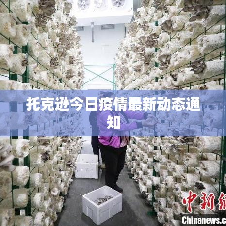 托克逊今日疫情最新动态通知