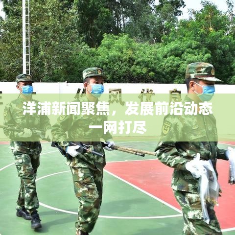 洋浦新闻聚焦，发展前沿动态一网打尽