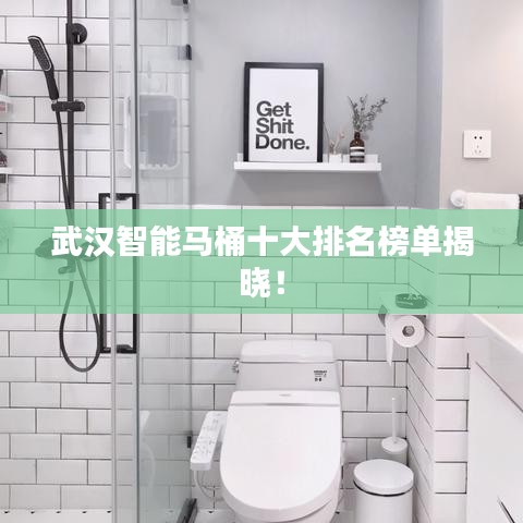 武汉智能马桶十大排名榜单揭晓!