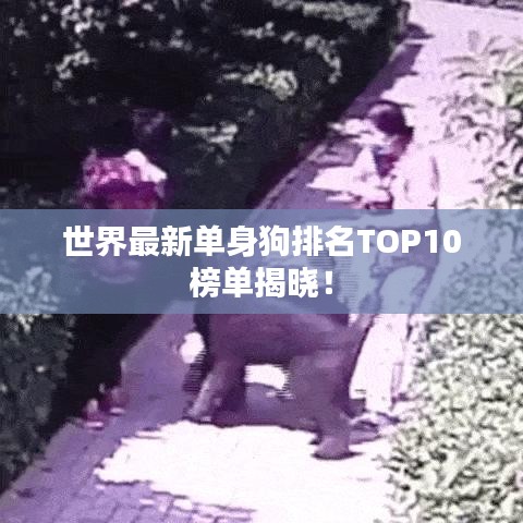 世界最新单身狗排名TOP10榜单揭晓！